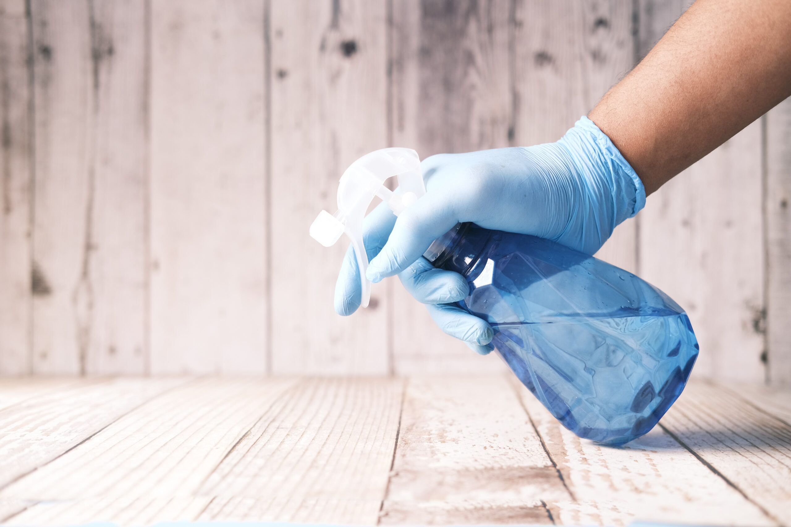A Comparison Between The Cleaning Authority and Kenosha House Cleaning